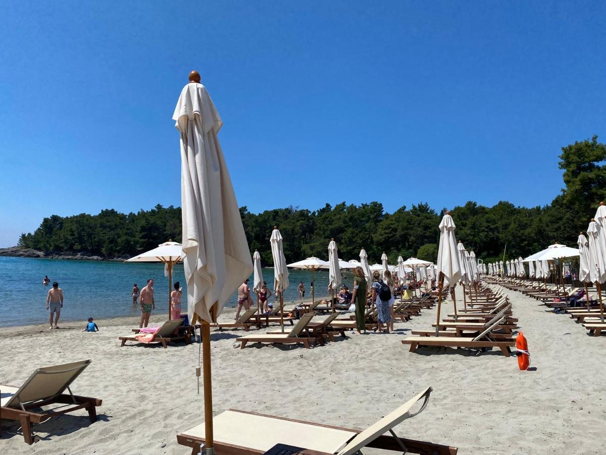 Apartments Villa Viktoria Tivat Kültér fotó