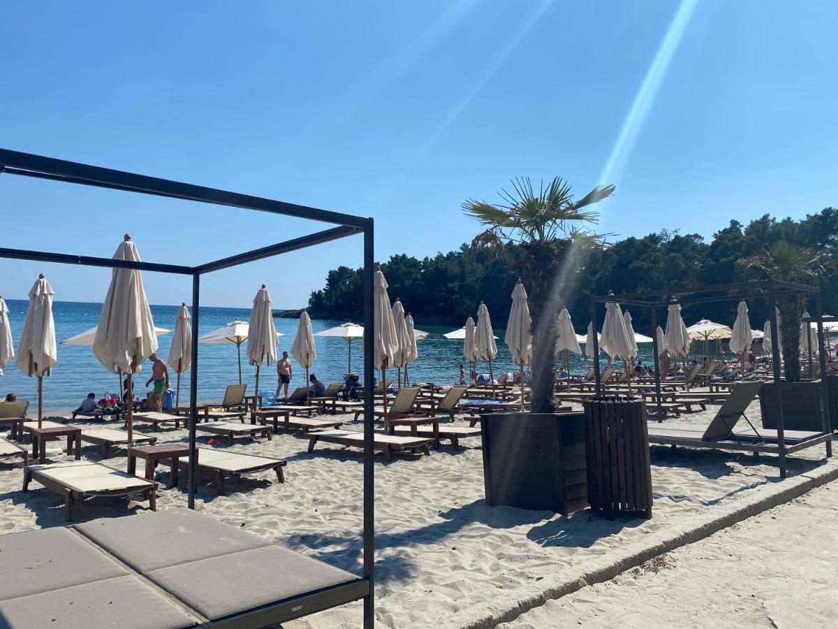 Apartments Villa Viktoria Tivat Kültér fotó