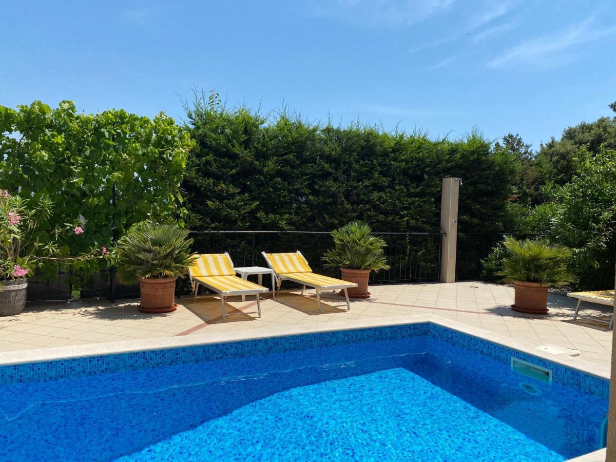 Apartments Villa Viktoria Tivat Kültér fotó